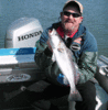 3-16-speckled-trout-6.gif