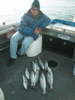 3-16-speckled-trout-9.gif