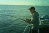 3-19-31.gif