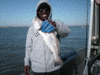 3-30-1.gif