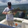 38_Inch_Snook_Tampa_Bay.jpg