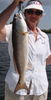 4-10-2008RobinRedfish.JPG