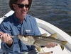 4-10-2008snook.JPG