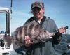 4-10-Ten-pound-sheepshead_gif.jpg