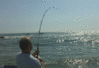 4-15-2.gif