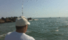 4-15-4.gif