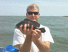 4-15-8.gif