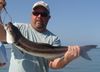 4-2-2008cobia.jpg