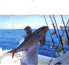 4-21-2012_6_45_35_AM.JPG