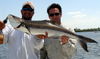 4-23-2008cobia.JPG