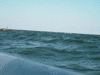 4-29-2010-2.gif