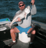 4-29-2010.gif