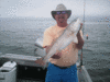 4-3-08-1.gif