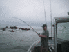 4-3-08-2.gif