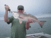 4-3-08-3.gif