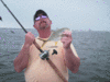 4-3-08-6.gif