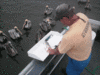 4-3-08-9.gif