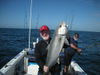 4-4-12_pure_fishn_035.JPG