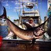 400_daytime_florida_keys_swordfish.JPG