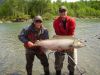 480x360-gill-mckean-kitimat-river-chinook-king-salmon.JPG