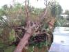 481DSCF0002.JPG