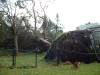 481DSCF0010.JPG
