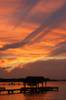 481sunset.jpg