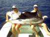 4Hells_Bay_Sailfish1.jpg