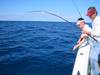 4IMG_0625.JPG