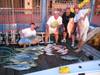 4IMG_0670.JPG