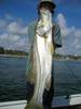 4sonny-snook.jpg
