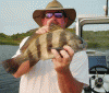 5-18-5.gif