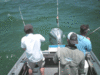 5-22-41.gif