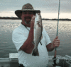 5-27-08-1.gif