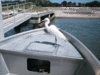 5-27-08-8.gif