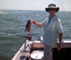 5-8-11.gif