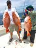 5-red-snapper-from-state-waters.jpg