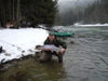 500x375-photo-of-the-week-dennis-therrien-skeena-steelhead.JPG