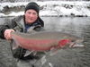 500x375-steelhead-photo-of-the-week.JPG