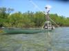 5poling_006.jpg