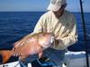 5snapper_march_2005_001.jpg