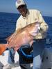 5snapper_march_2005_004.jpg