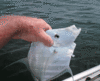 6-11-5.gif