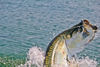 6-12-fishing-_1-of-10_-_Copy.jpg