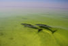 6-12-fishing-_6-of-16_.jpg