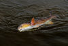 6-12-fishing-_7-of-8_.jpg