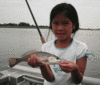 6-16-08-2.gif