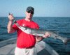 6-19-11.gif