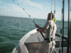 6-23-08-1.gif