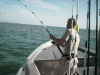 6-23-08-11.gif
